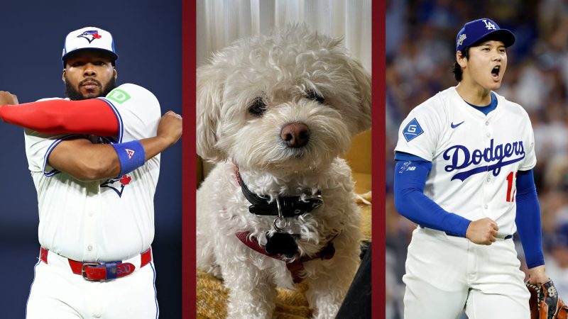 World Series picks leave man, dog commiserating before Game 6 World Series picks leave man, dog commiserating before Game 6